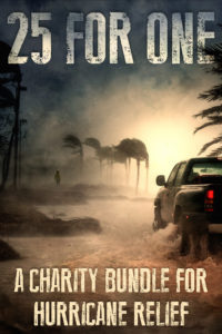 Cover for the 25 for 1 ebook bundle for hurricane relief